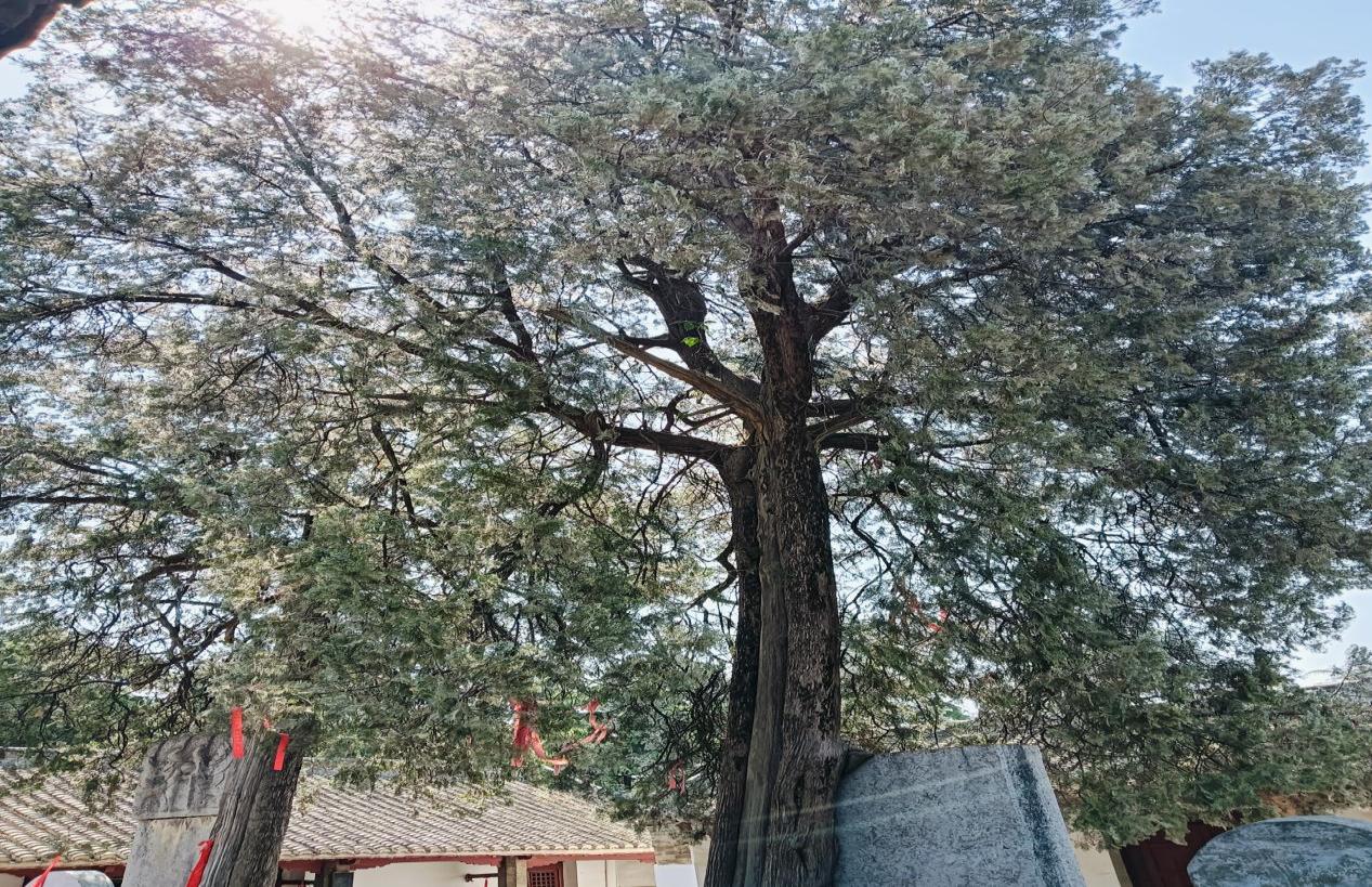 图片6.jpg